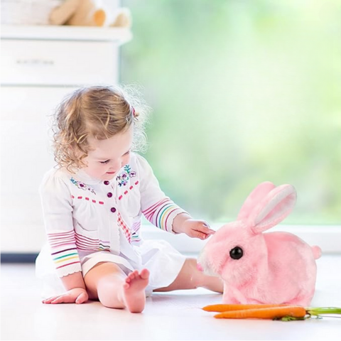 Easter Bunny Buddy Toy